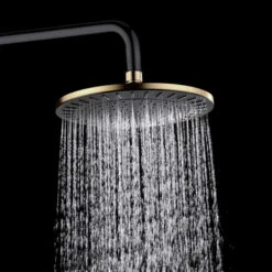 Tiger Regendoucheset Akcent Zwart Messing -badkamer 123 2475