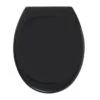 Tiger WC Bril Mason Zwart Kunststof Met Softclose -badkamer 123 3724