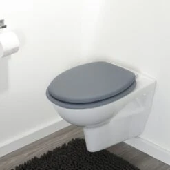 Tiger WC Bril Reno Grijs -badkamer 123 3764