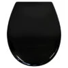 Tiger WC Bril Amadora Zwart Kunststof Met Softclose -badkamer 123 3955
